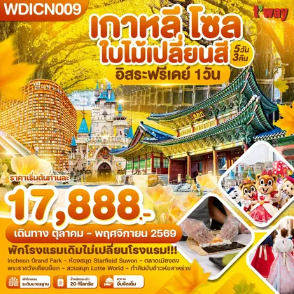 ทัวร์เกาหลี เกาหลี โซล ใบไม้เปลี่ยนสี อิสระฟรีเดย์ 1วัน 5วัน3คืน บิน TW ทัวร์เกาหลี